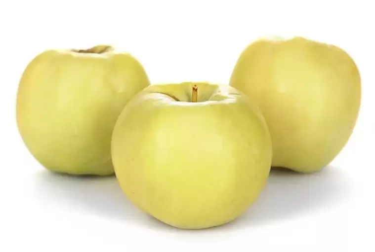 maçãs para o tratamento de varizes