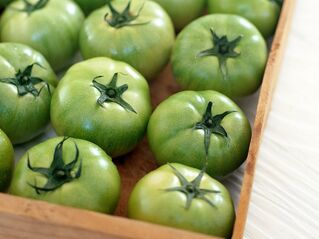 Tomates verdes para veias varicosas